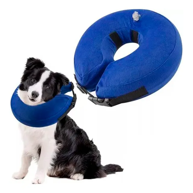 Collar Isabelino Donut Para Mascotas Xl