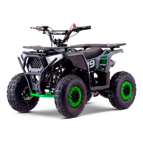 Mini Quadriciclo Infantil A Gasolina Fun Motors Flash 49cc Cor Verde Voltagem Do Carregador 110v/220v