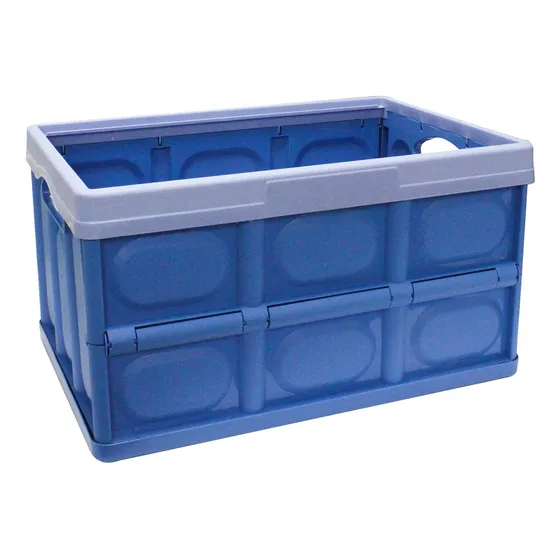Caja Organizadora Plegable  48 Litros