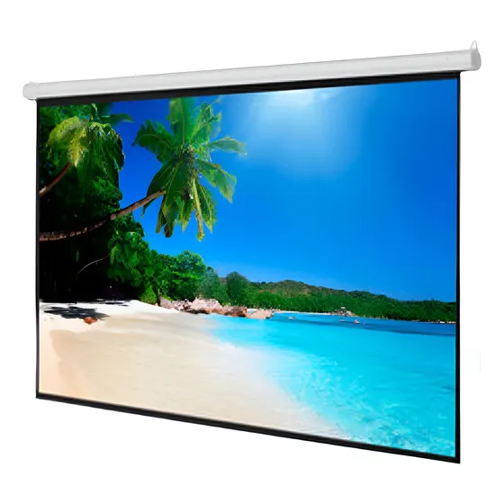 Pantalla P/proyección Retráctil De 100'' 16:9 Multimedia Abs
