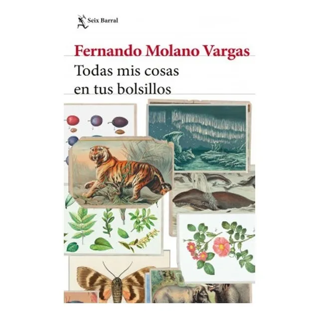Todas Mis Cosas En Tus Bolsillos.  Fernando Molano Vargas