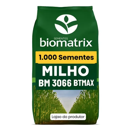 Sementes Milho 3066 Resistente Silagem E Mv - 1.000 Sementes
