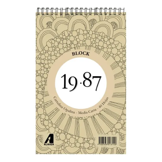 Block 19.87 Cartulina Opalina 1/2 Carta X 40 Hj