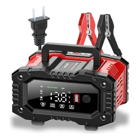 Cargador De Bateria 12v-24v 20a