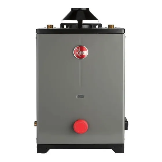 Calentador De Agua Instantaneo A Gas Lp Rheem Hrt-chl13p Gris 2 Servicios Glp