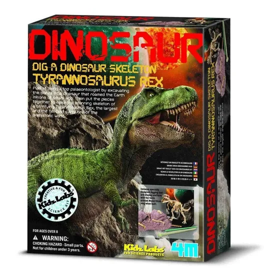 Juego De Excavación Kit Dinosaurio Fosil Y Herramienta 4m