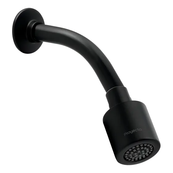 Regadera Con Brazo Y Chapeton Rec-03-eb Ebano Color Negro