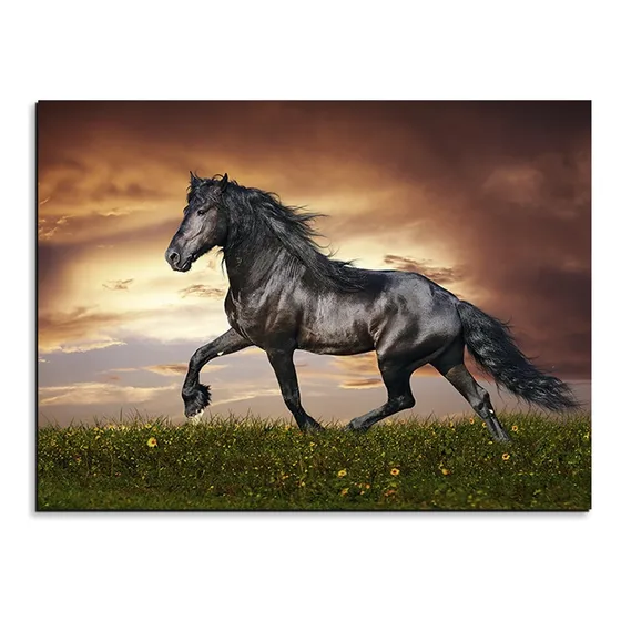 Cuadro Decorativo En Mdf De 50 * 35 Cm Caballo Negro 3