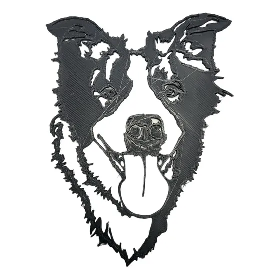 Cuadro De Perro Border Collie Decorativo Impresion 3d