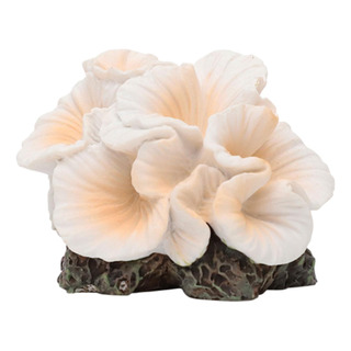 Colorido Arrecife De Coral: Decoración Única Para El Colorido Arrecife De Coral: Decoración Única Para El