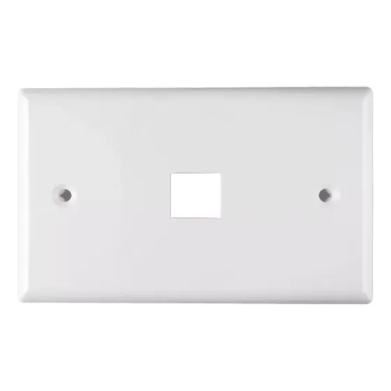 Face Plate + 1 Tomas Blanco (wireplus+)