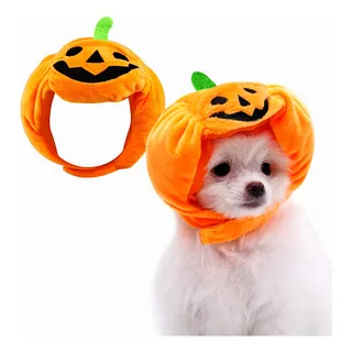 Mercadolibre chihuahua ropa new arrivals