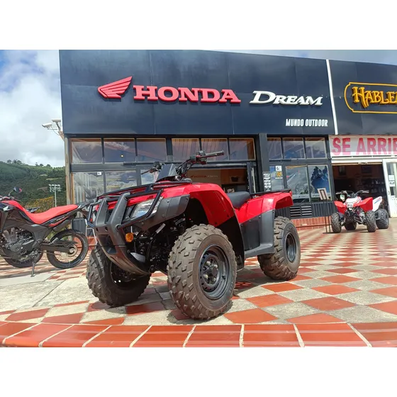 Cuatrimoto Honda Trx 250 Te
