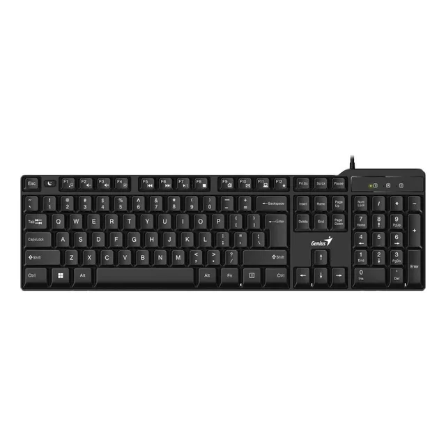 Teclado Genius Kb-100x Usb Español Negro Pc Notebook