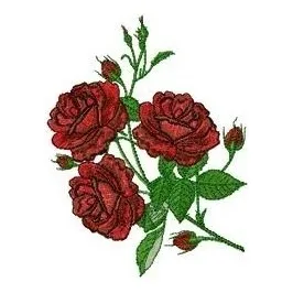 Matrizes De Bordado   Zcz 0907 - Rosa 22