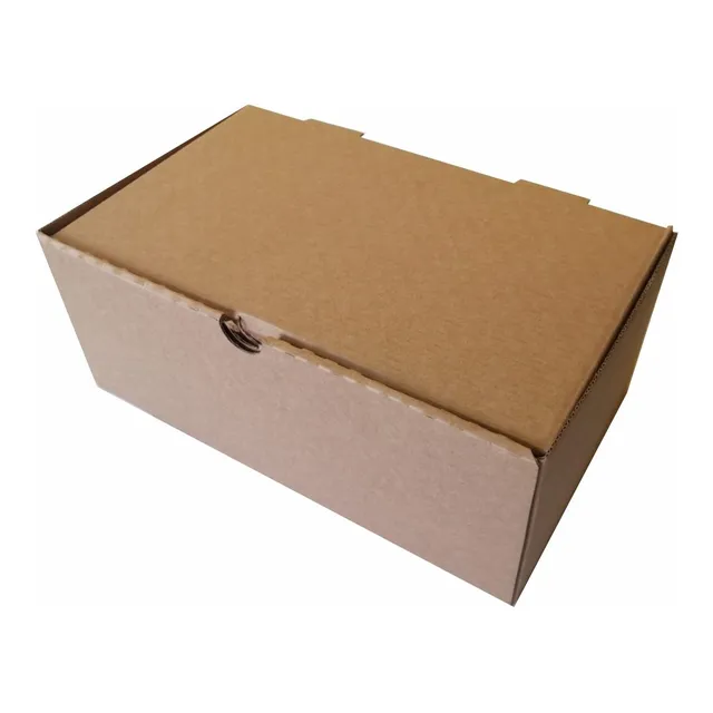 Caja Carton Microcorrugado Hamburguesa Grande  -100 Unidades