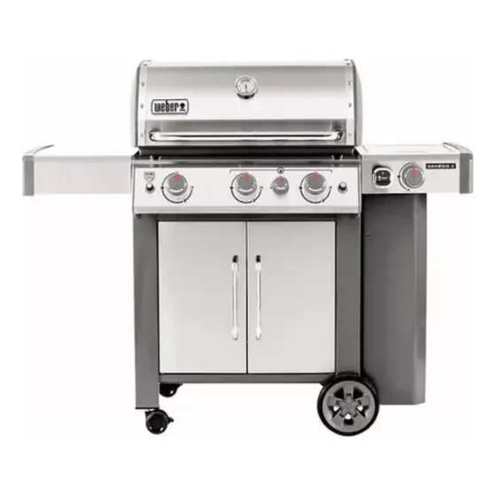 Parrilla A Gas Weber