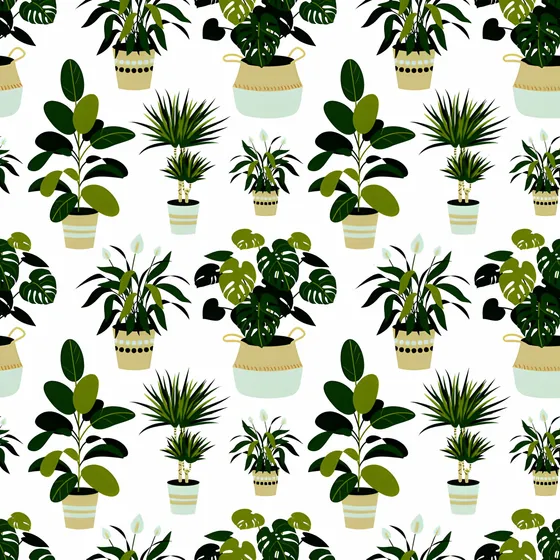 Ligustrinas Verde O Pack De 100 Uds Gratis A Rm