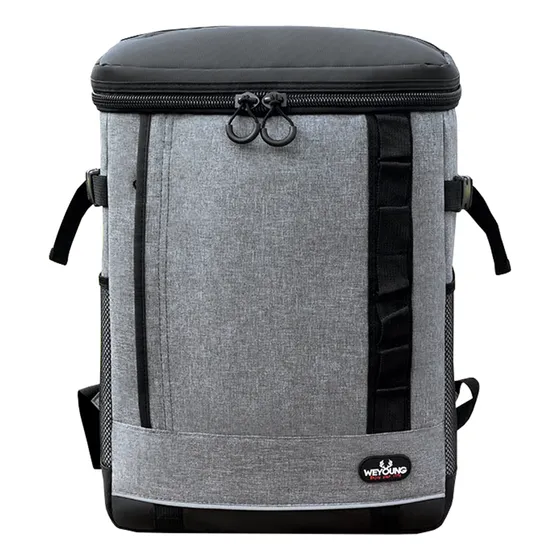 Bolso Térmica Weyoung Yumbag De 19l Color Gris