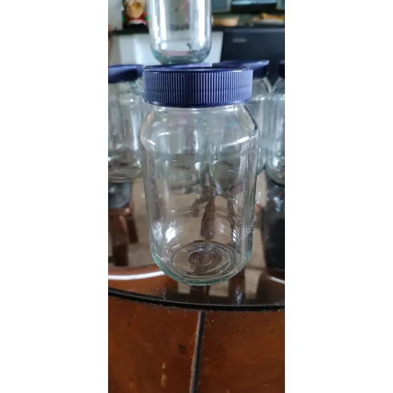 Frascos De Vidrio (mayonesa Reciclado) 500 Grs Tapa Azul