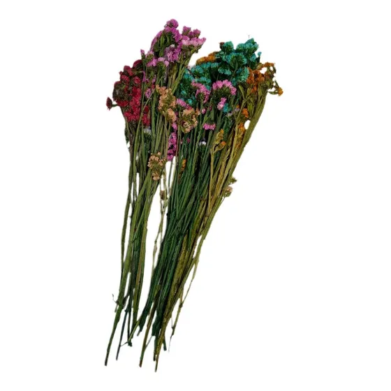 Statice Statis Preservado Surtido Flor Siempreviva