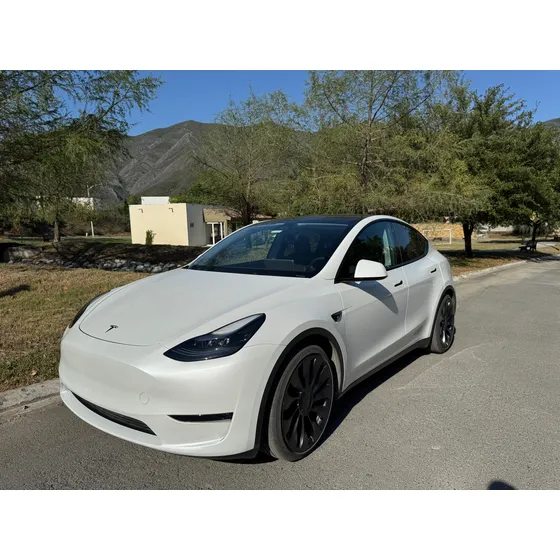 Tesla Model Y Performance Performance