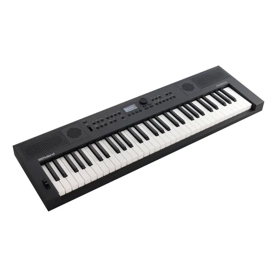 Roland Go:keys 5 Gt Teclado Sintetizador 61 Teclas Sensíveis Cor Grafite
