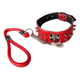 Coleira Em Couro Com Spike Para Cães + Guia Com Mola Oferta Coleira Em Couro Com Spike Para Cães + Guia Com Mola Oferta