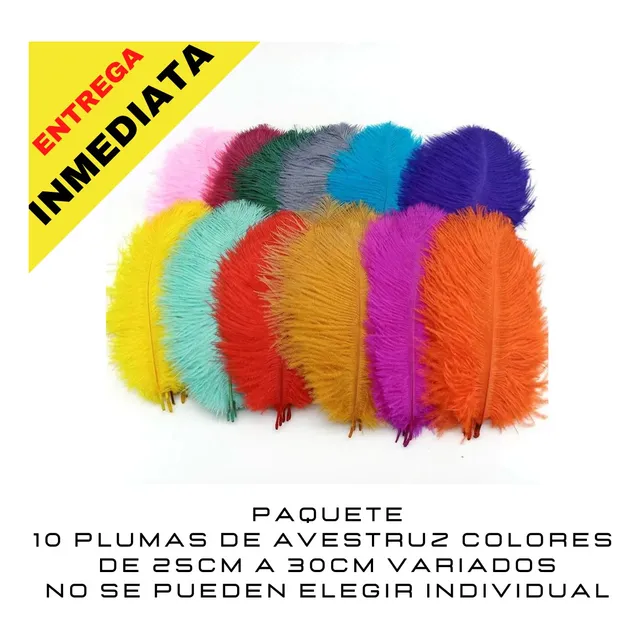 Paquete 10 Plumas De Avestruz Colores De 25 A 30cm Variados