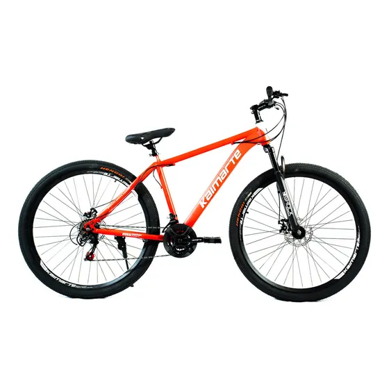 Bicicleta Aro 29 Everest Freio Disco 21v Raiada Wct Fitness Cor Vermelho Tamanho Do Quadro 21
