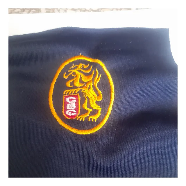 Logo Leones Del Caracas
