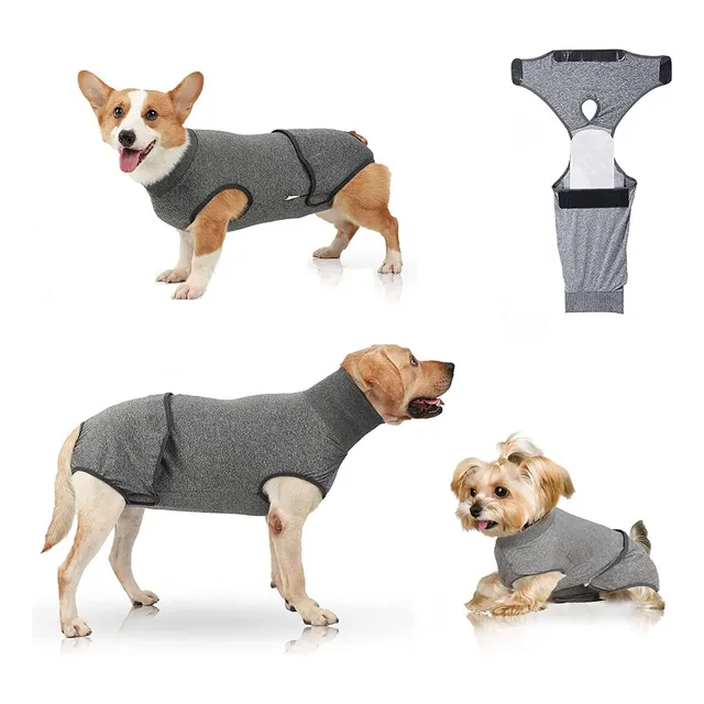 Traje Buzo De Recuperación Para Perros Gatos Post Operatorio