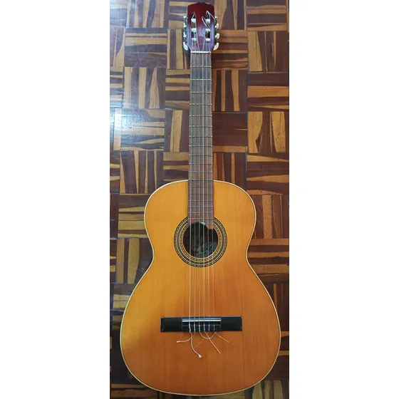 Guitarra Acústica Vicente Tatay Original Española+forro+cuer