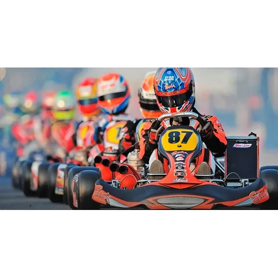Karting Parilla 125 Rotax 150 125  Desarmado Roto Fundido