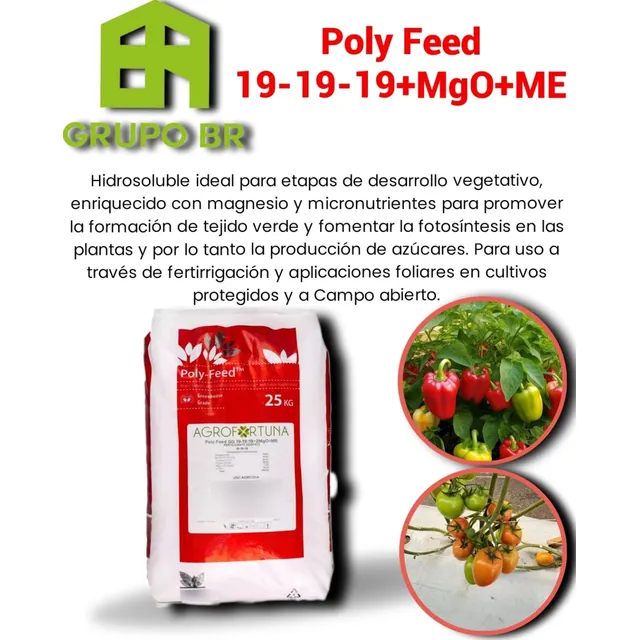 Haifa Polyfeed 19-19-19+2mgo+me 25kg