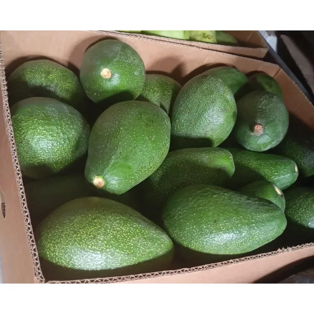 Palta Fuerte Cremosita 