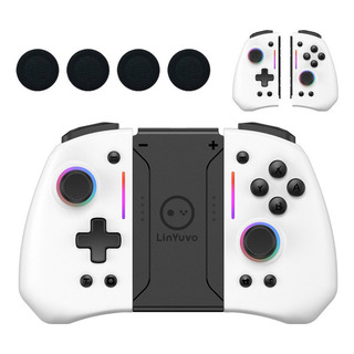 Controlador Sem Fio Linyuvo Rgb + Punho Para Nintendo Switch Controlador Sem Fio Linyuvo Rgb + Punho Para Nintendo Switch