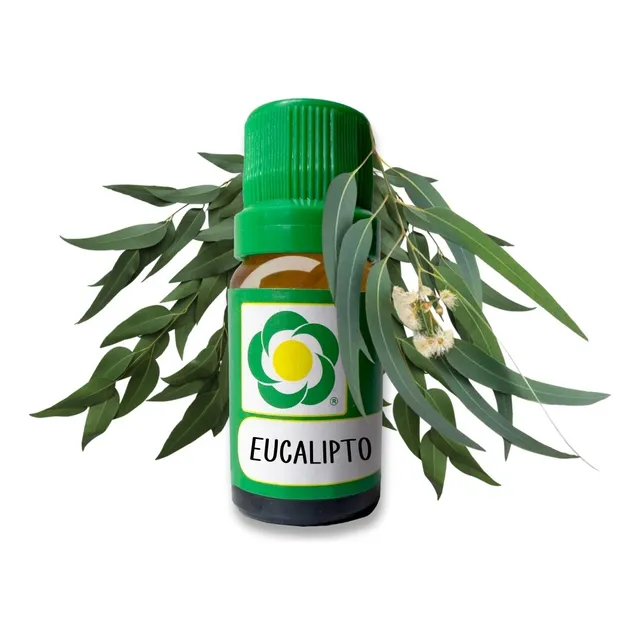Aceite De Eucalipto Puro