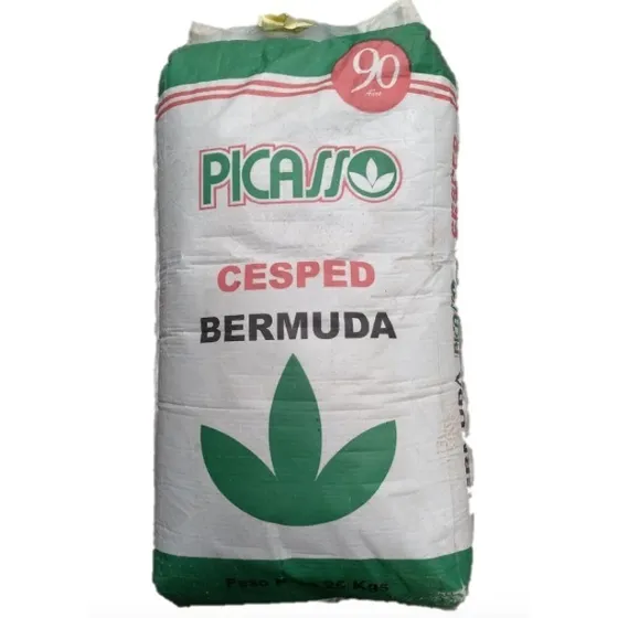 Bermuda Grass Picasso 25 Kg Semilla Cynodon Dactylon