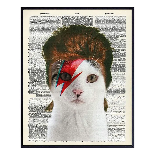 Póster De David Bowie Cat Wall Art - Divertido Diccionario R