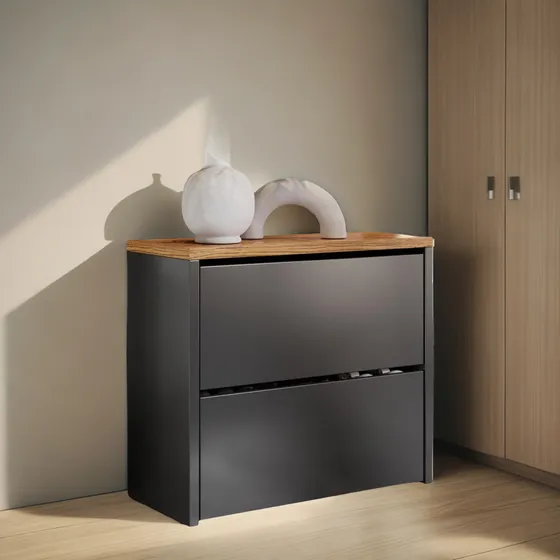 Organizador De Sapatos Com 2 Portas 2 Prateleiras 12 Pares