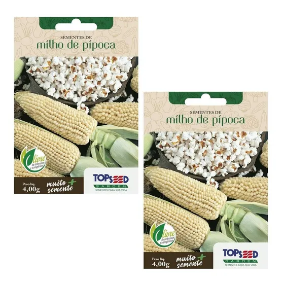 2x Sementes Milho De Pipoca Topseed