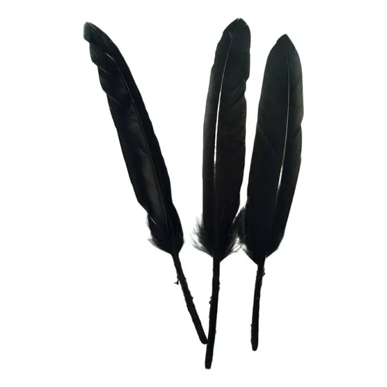Pack De 24 Plumas Negras 13 Cm