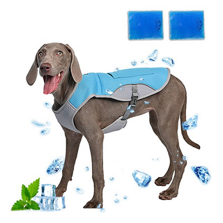 Chaleco De Refrigeración Para Perro Con 2 Paquete De Hielo Chaleco De Refrigeración Para Perro Con 2 Paquete De Hielo