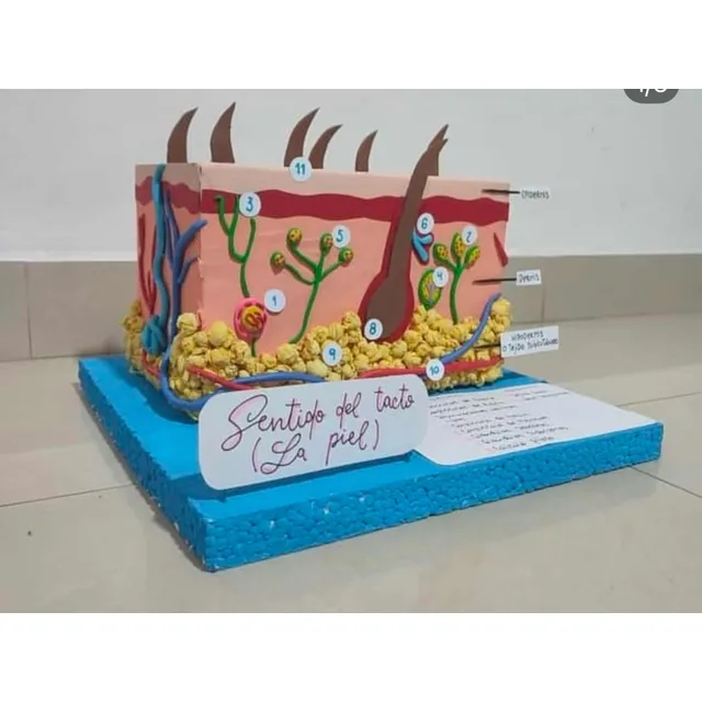 Maquetas Y Trabajos Escolares