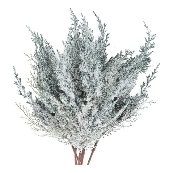 Árbol De Abedul Led Con Luces, Árboles De Bonsai Led Árbol D