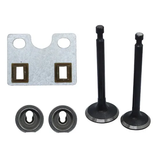Kit De Valvula Con Guia Para Motor A Gasolina De 8 / 9hp