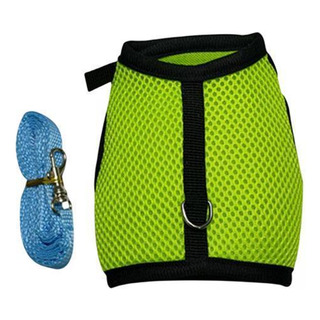2 Juego De Correas Harness A Prueba De Verde L 2 Juego De Correas Harness A Prueba De Verde L