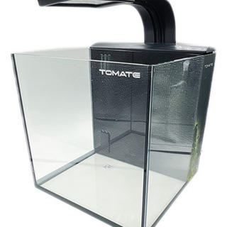 AquĂĄrio De Peixe Completo Com Bomba Led Vidro 20x20x20cm AquĂĄrio De Peixe Completo Com Bomba Led Vidro 20x20x20cm