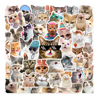 Gatos Cool Memes Cool 50 Calcomanias Stickers Pvc Vs Agua Gatos Cool Memes Cool 50 Calcomanias Stickers Pvc Vs Agua